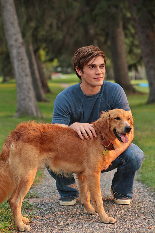 A Dog S Purpose Star K J Apa Reacts To The Controversial